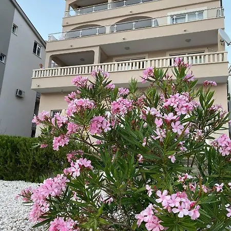 Apartment Divna *